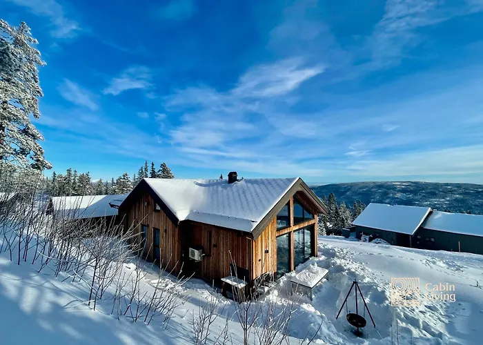 Semesterbostad New Modern At Norefjell With Sauna *
